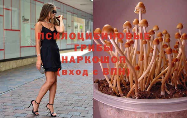 кокаин колумбия Алексин