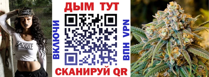 ссылка на мегу зеркало  хочу наркоту  Дмитриев  Марихуана тримм 